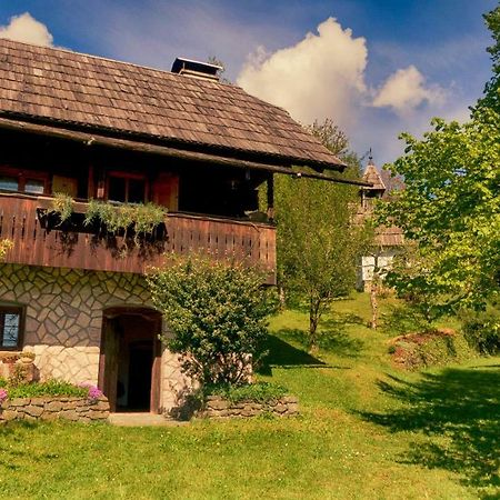 Domacija Koklej - Apartments Vintage Vacation Luče Dış mekan fotoğraf