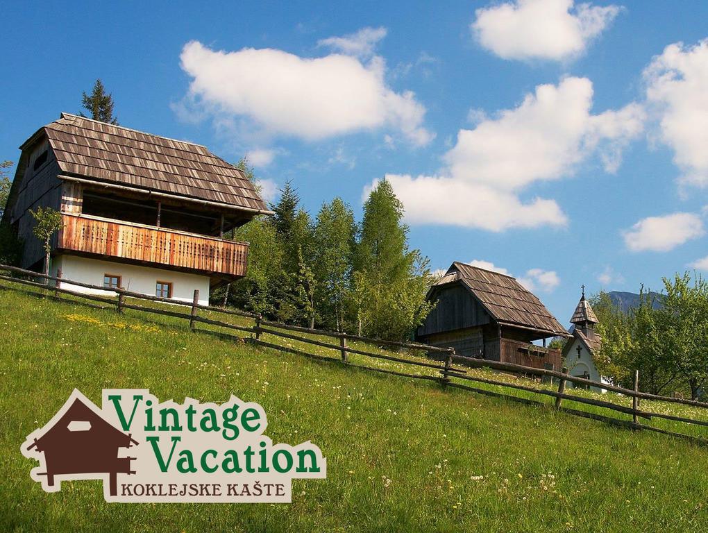 Domacija Koklej - Apartments Vintage Vacation Luče Dış mekan fotoğraf