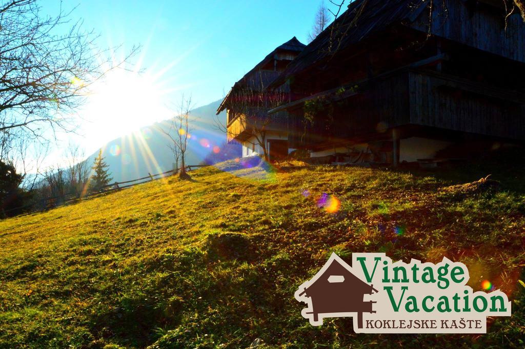 Domacija Koklej - Apartments Vintage Vacation Luče Dış mekan fotoğraf