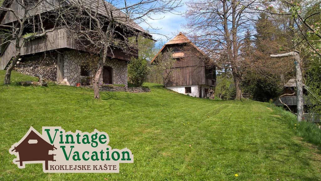 Domacija Koklej - Apartments Vintage Vacation Luče Dış mekan fotoğraf