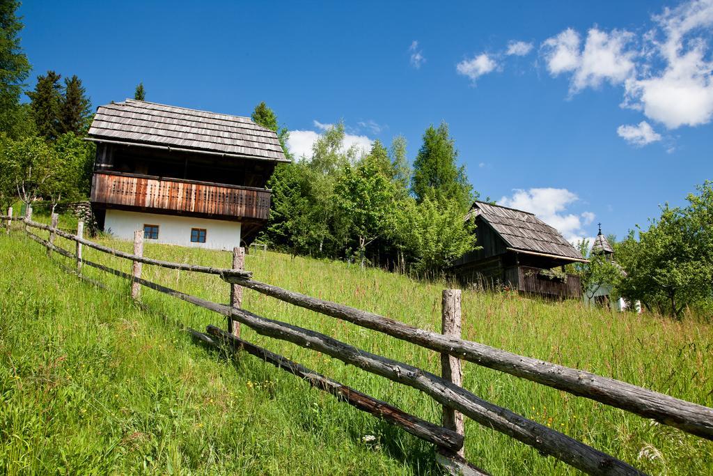 Domacija Koklej - Apartments Vintage Vacation Luče Dış mekan fotoğraf