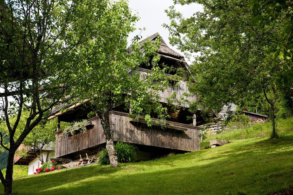 Domacija Koklej - Apartments Vintage Vacation Luče Dış mekan fotoğraf