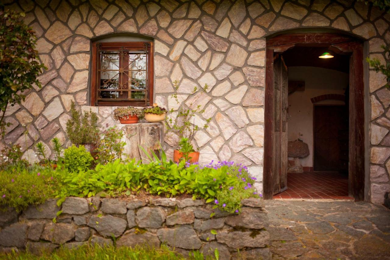 Domacija Koklej - Apartments Vintage Vacation Luče Dış mekan fotoğraf