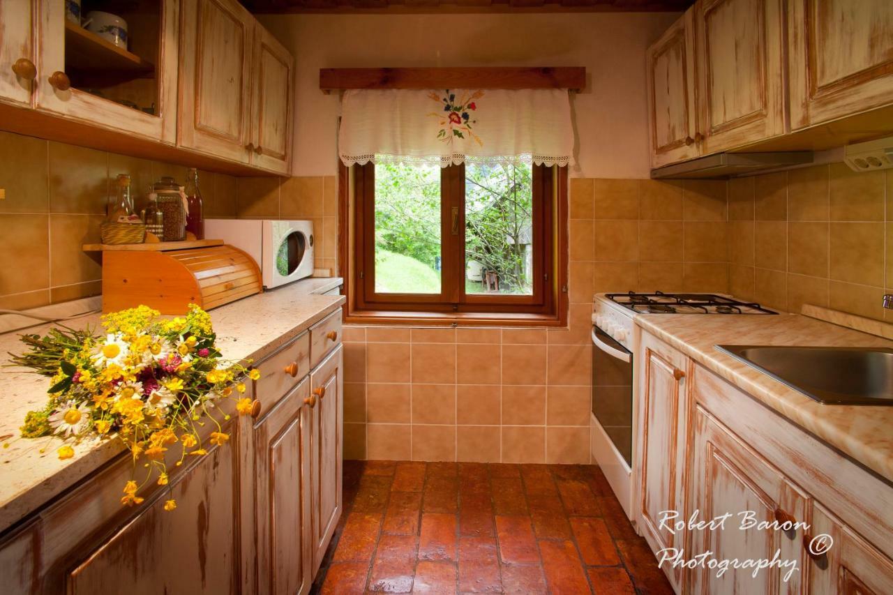 Domacija Koklej - Apartments Vintage Vacation Luče Dış mekan fotoğraf
